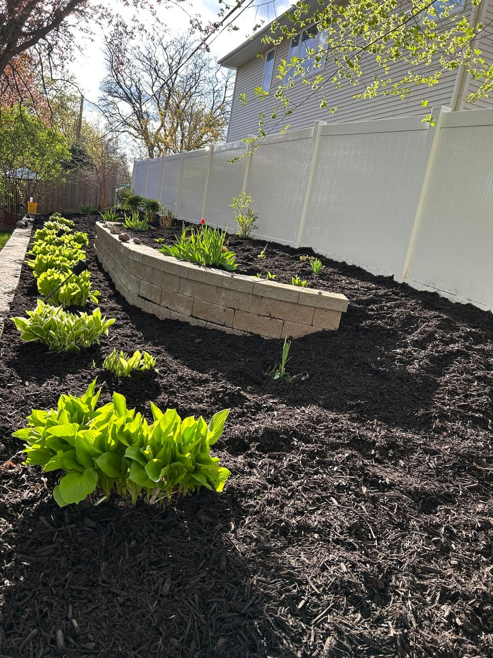 Gallery photos for Fresh Mulch Installation and Spring Bed Cleanup in Minneapolis: Image #5