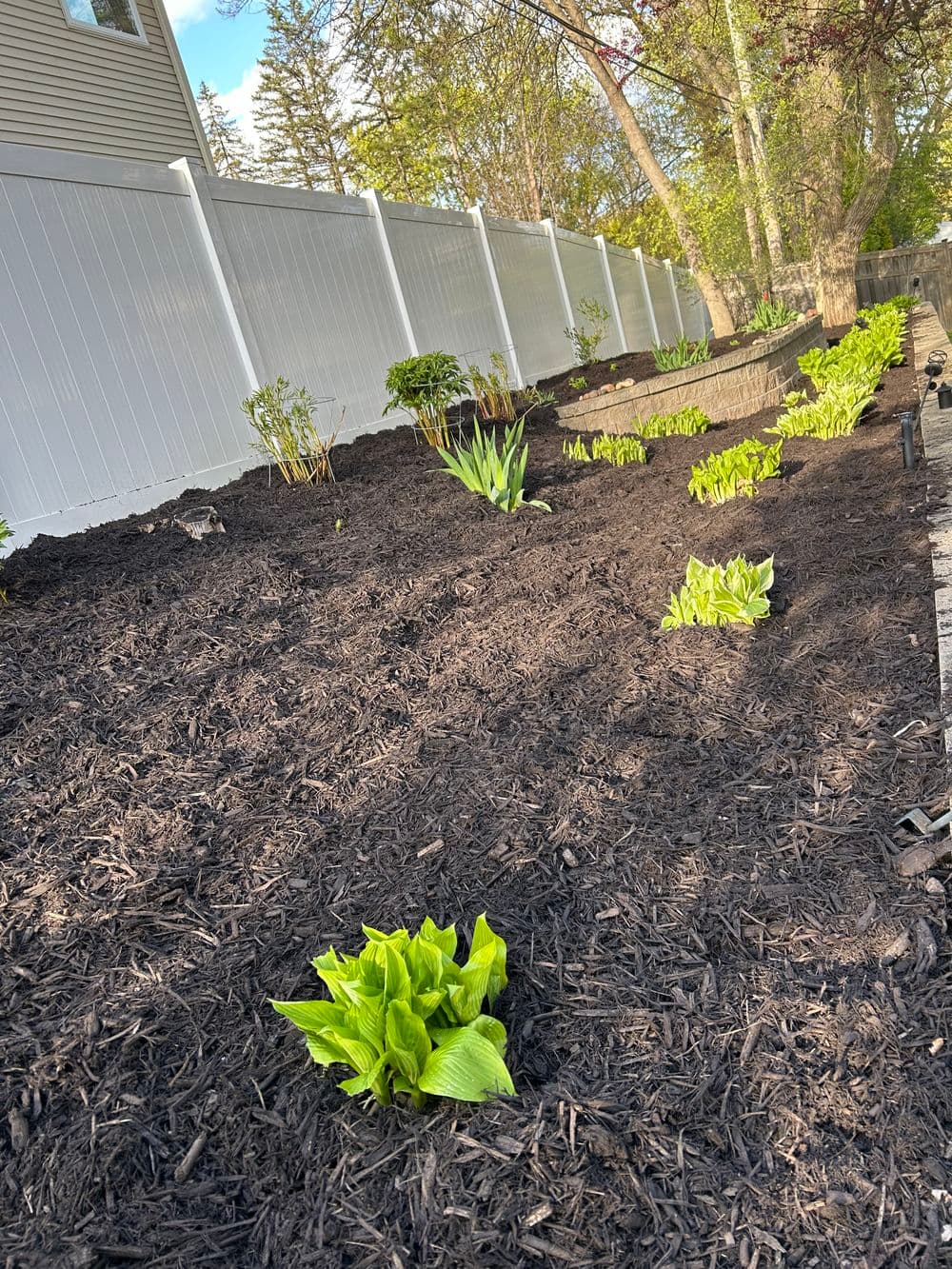 Gallery photos for Fresh Mulch Installation and Spring Bed Cleanup in Minneapolis: Image #6