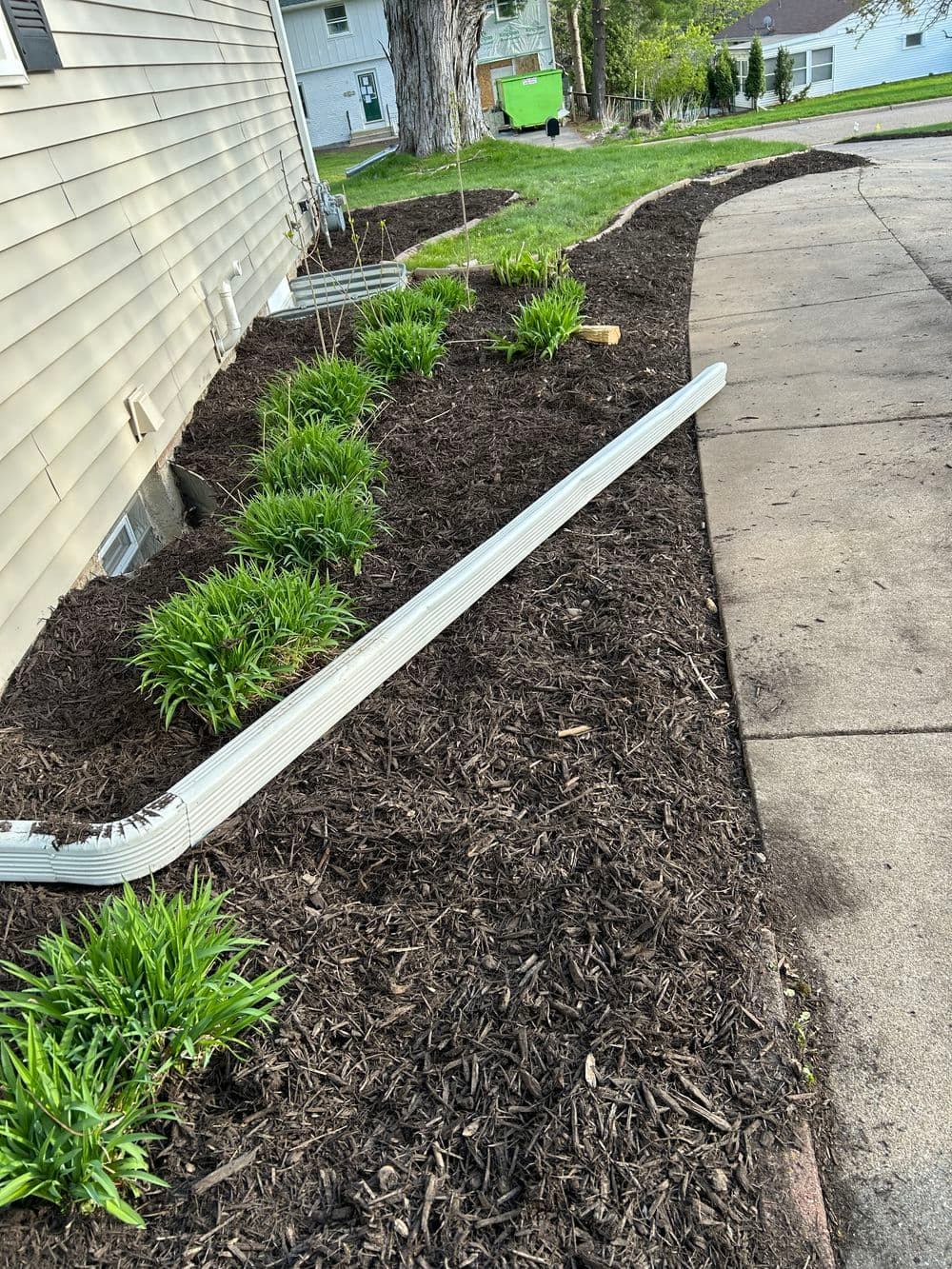 Gallery photos for Fresh Mulch Installation and Spring Bed Cleanup in Minneapolis: Image #10