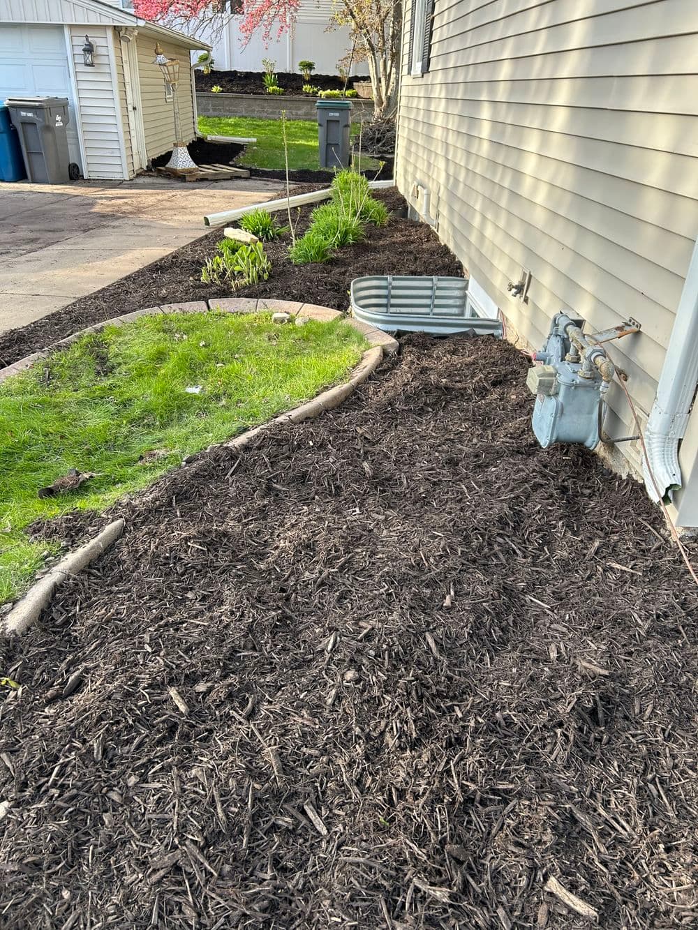 Gallery photos for Fresh Mulch Installation and Spring Bed Cleanup in Minneapolis: Image #8