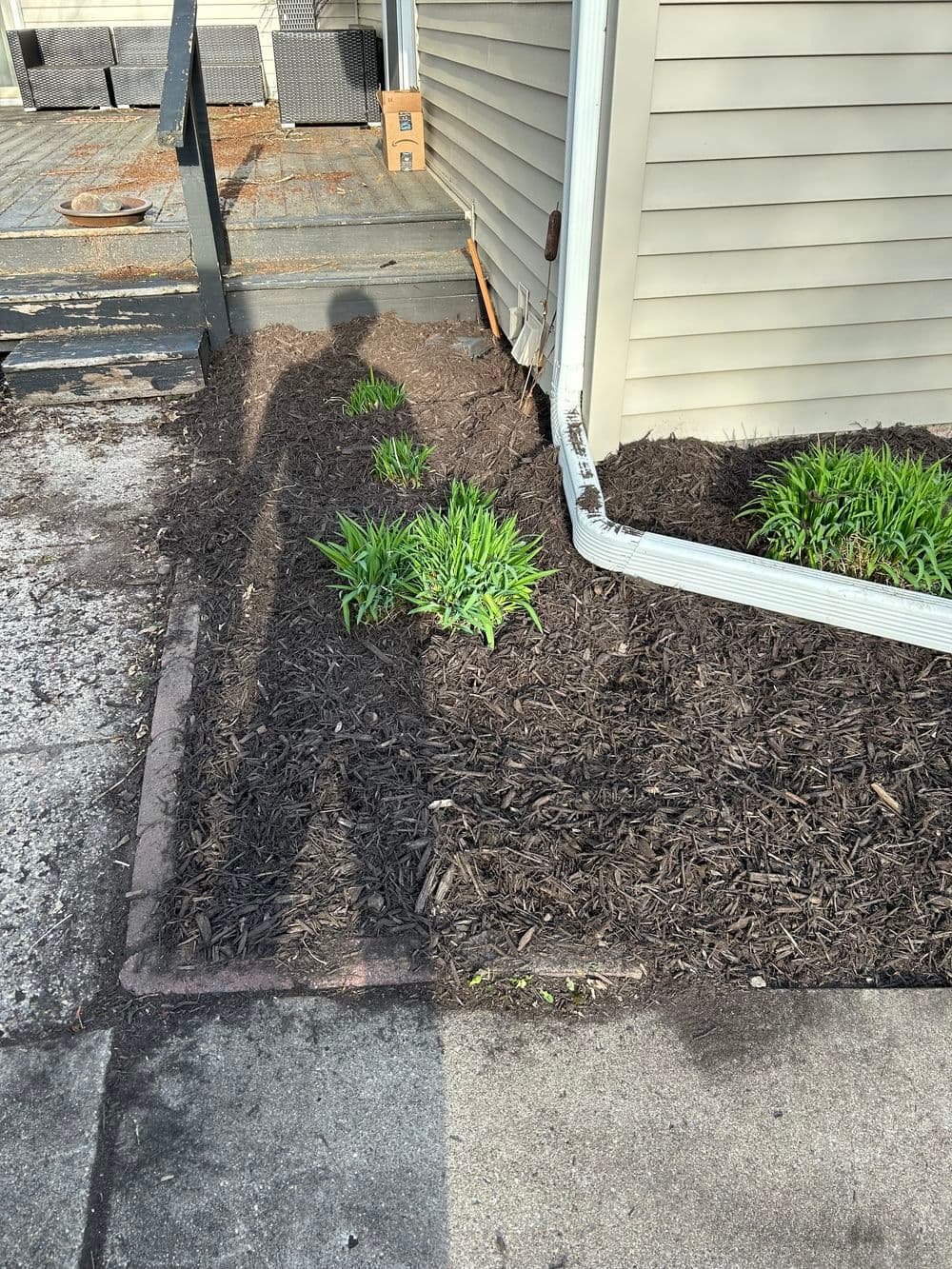 Gallery photos for Fresh Mulch Installation and Spring Bed Cleanup in Minneapolis: Image #12