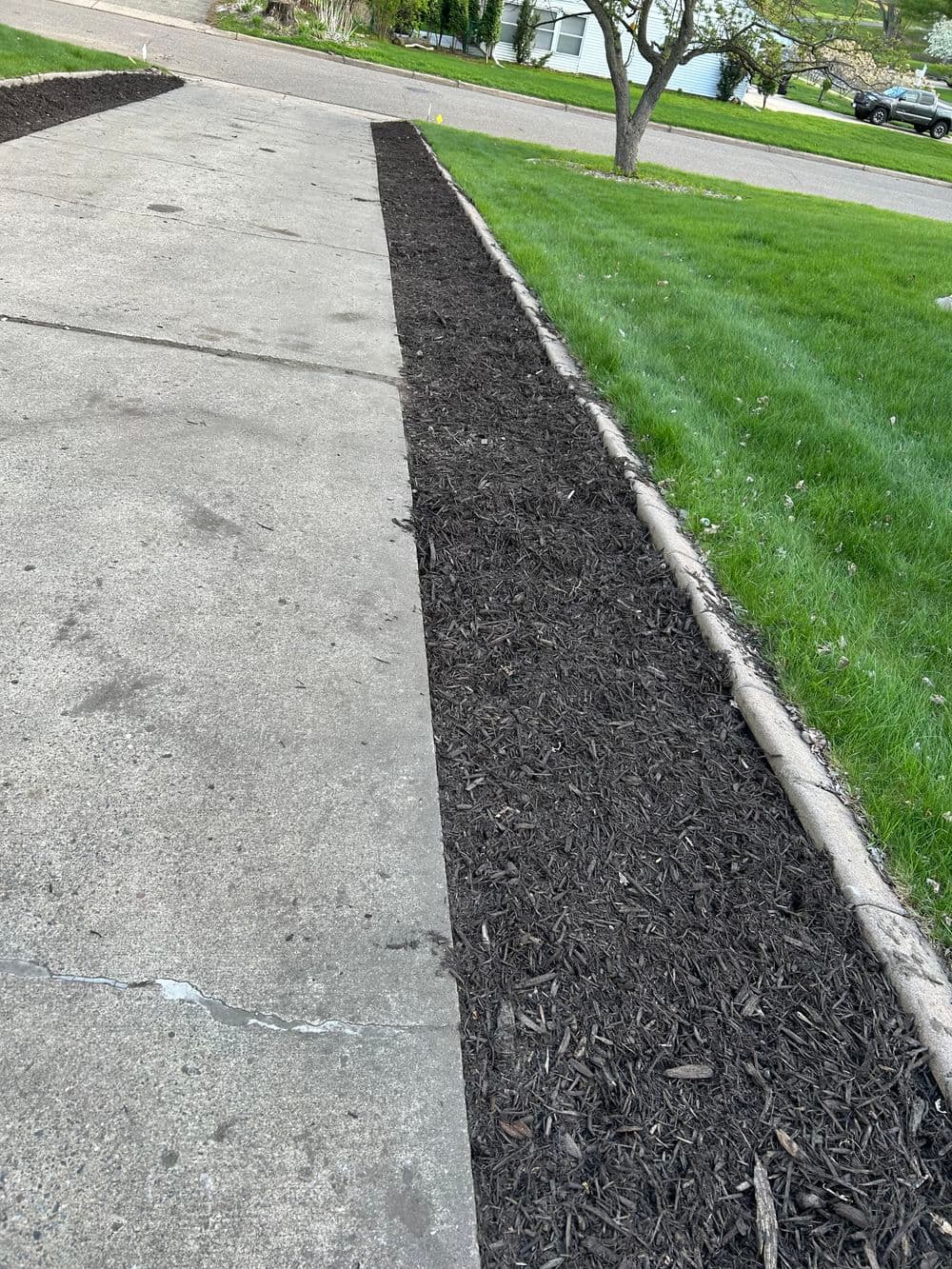 Gallery photos for Fresh Mulch Installation and Spring Bed Cleanup in Minneapolis: Image #9