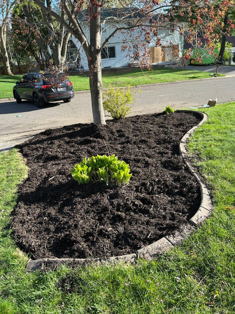 Gallery photos for Fresh Mulch Installation and Spring Bed Cleanup in Minneapolis: Image #11