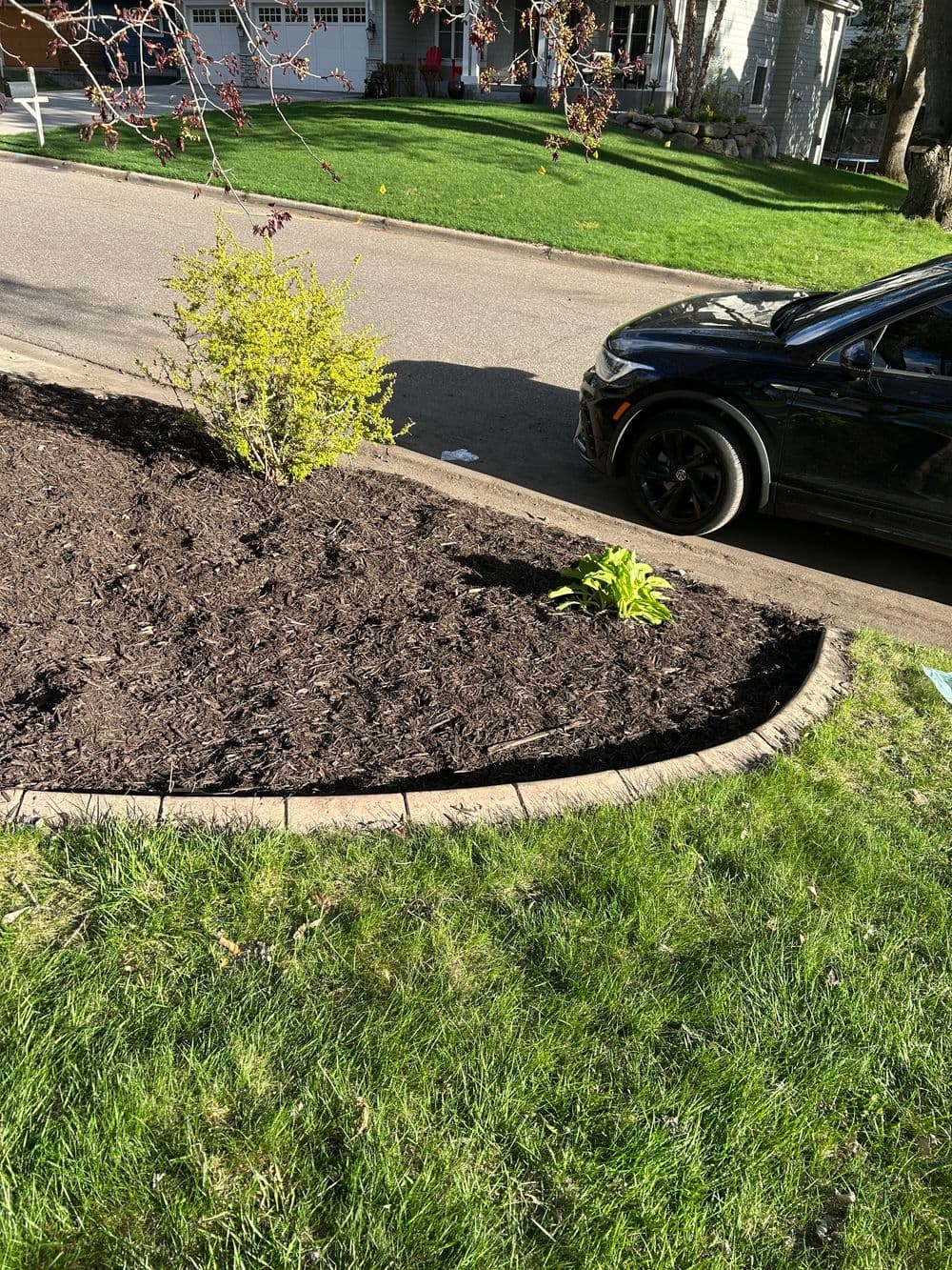Gallery photos for Fresh Mulch Installation and Spring Bed Cleanup in Minneapolis: Image #15