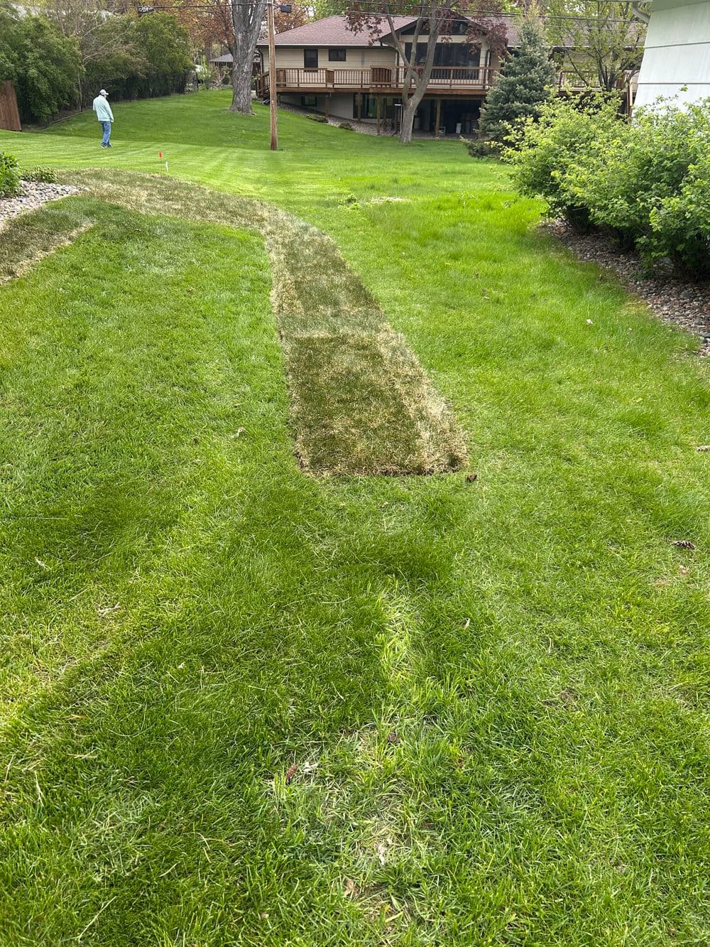 Gallery photos for Lawn Repair After Underground Line Work in Minneapolis: Image #4