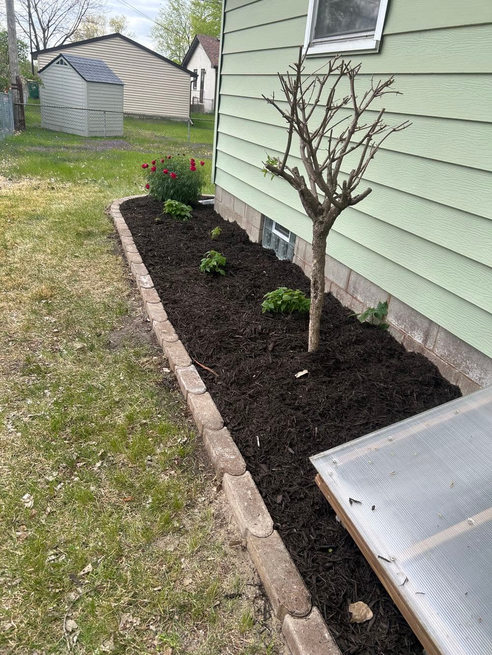 Gallery photos for Fresh Mulch and Clean Bed Edging Around a Minneapolis Home: Image #4