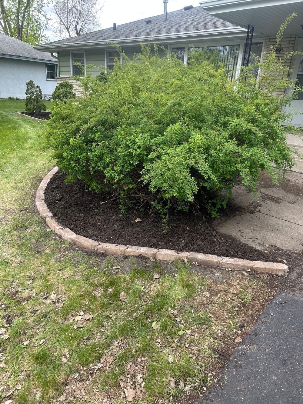 Gallery photos for Fresh Mulch and Clean Bed Edging Around a Minneapolis Home: Image #5